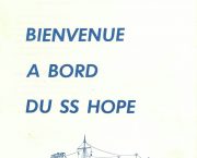 Disinformation in Guinea