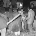 Search through the fire site in front of the Regional SNB Directorate building in Kanice, the district of Brno-venkov, on 8 December 1989.