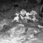 Search through the fire site in front of the Regional SNB Directorate building in Kanice, the district of Brno-venkov, on 8 December 1989.