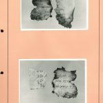 Fotografická dokumentace fragmentů likvidovaných písemných materiálů, nalezených v požářišti před objektem Krajské správy SNB Brno v katastru obce Kanice (okr. Brno – venkov) dne 8. 12. 1989