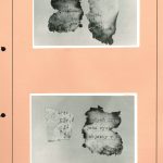 Photographs of fragments of the discarded materials found at the fire site in front of the Regional SNB Directorate building in Kanice, the district of Brno-venkov, on 8 December 1989.