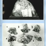 Photographs of ash sampled sent to the Criminology Institute in Prague to deliver an expert assessment in graphic diagnostics and chemistry.