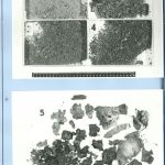 Photographs of ash sampled sent to the Criminology Institute in Prague to deliver an expert assessment in graphic diagnostics and chemistry.