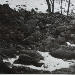 Part of a stone wall in the place of a shelter uncovered earlier; 1959.