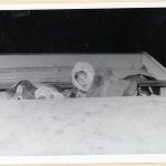 Druhé dítě v úkrytu kamionu
