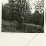 Fotografie místa uložení mrtvé schránky