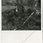 Fotografie místa uložení mrtvé schránky