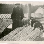 Internovaní řeholníci pracovali na polích, v lese i na okolních stavbách, Želiv, jaro 1951. ABS, Historický fond Státní bezpečnosti (H), arch. č. H-394.