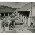 Žně v Temechově u Želivi, 1951. Původně temechovský statek patřil želivskému klášteru; po jeho záboru zde vznikl státní statek s vepřínem. ABS, Historický fond Státní bezpečnosti (H), arch. č. H-394.