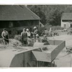 Žně v Temechově u Želivi, 1951. Původně temechovský statek patřil želivskému klášteru; po jeho záboru zde vznikl státní statek s vepřínem. ABS, Historický fond Státní bezpečnosti (H), arch. č. H-394.