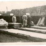 Internovaní řeholníci pracovali na polích, v lese i na okolních stavbách, Želiv, jaro 1951. ABS, Historický fond Státní bezpečnosti (H), arch. č. H-394.