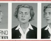 Novinky v eBadatelně