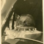 2. Zabavení „závadných“ fotografií ze svatovojtěšských oslav v roce 1947, vystavených v Lišově v roce 1951, zdůvodněné výskytem „nepřátelských osob“, mj. děkana římskokatolické církve v Lišově Aloise Střelečka (f. B 2, inv. j. 48 – Střeleček Alois a spol. z Lišova – šetření pastýřských listů)